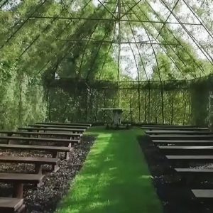 tree-church-nature-installation-barry-cox-new-zealand-8